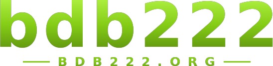 bdb222 logo